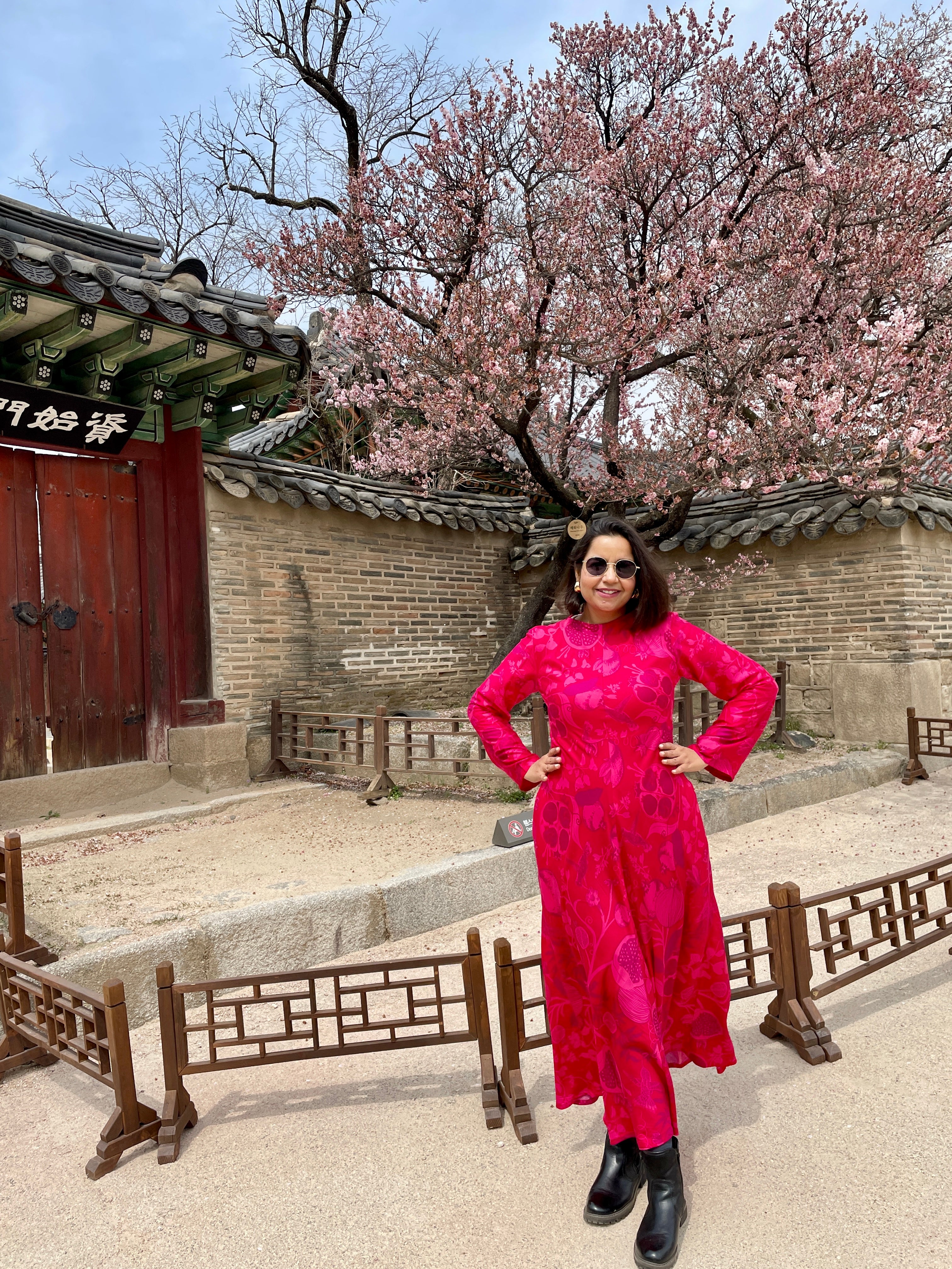 Pomegranate Maxi Dress image 3