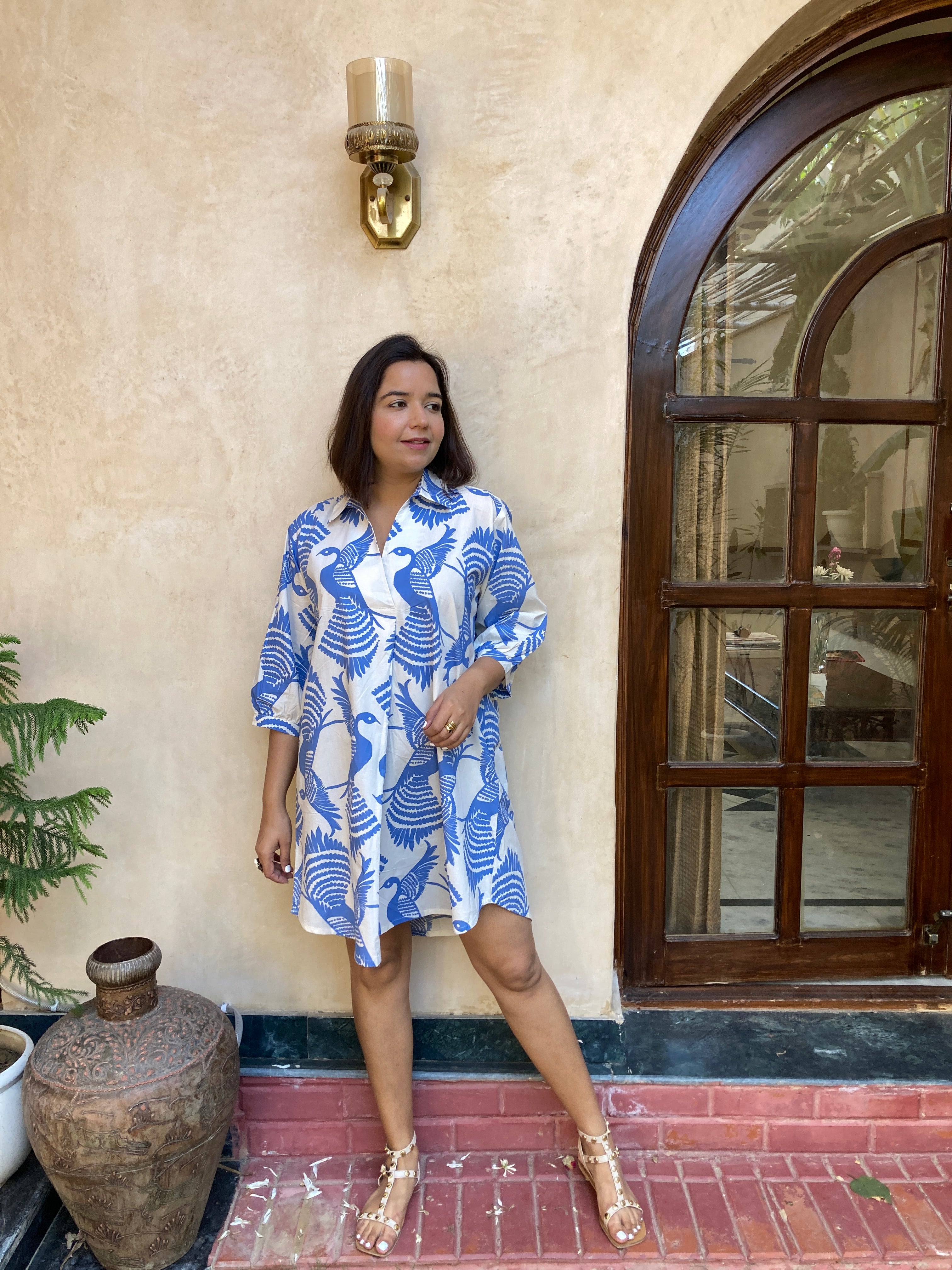 Bird Printed Oversized Cotton Dress image 3