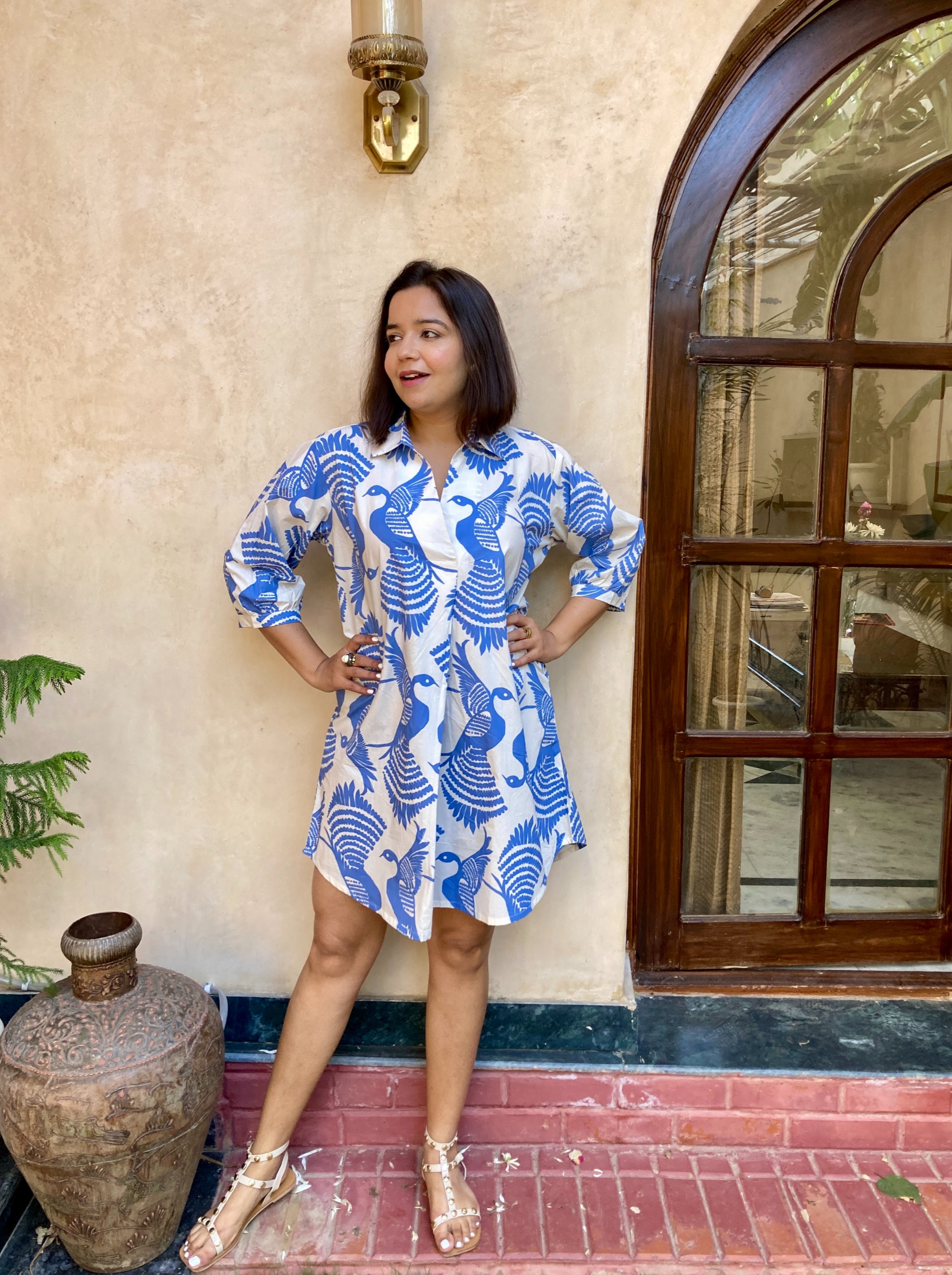 Bird Printed Oversized Cotton Dress image 0